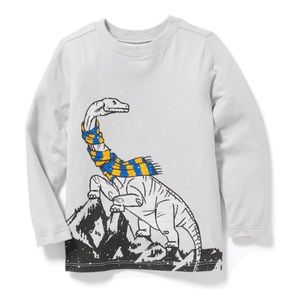 NWT Gray Dinosaur Printed Long Sleeve Top 18-24mo